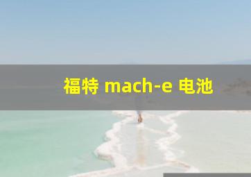 福特 mach-e 电池